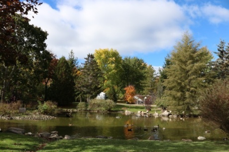Rideau acres 2021 B6100 C5 B 9 ABA 49 FB BAB118 B5 C23 C6 D87 b0f3353c c1a6 426b 88e731772cf2b47a