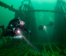 Neptune and Salacia Diving