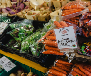 14 Memorial Centre Farmers Market Apr25 Thi CH