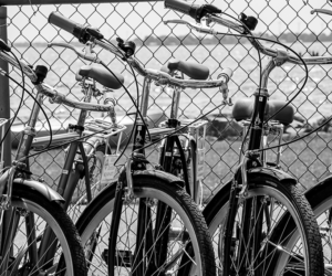24 Bike rentals and tours Aug25 Thing