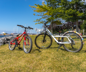 17 Bike Rentals July25 Thing