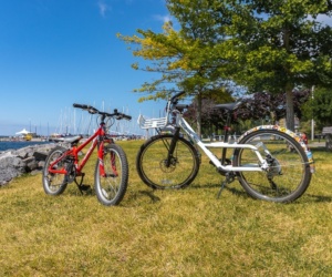 14 Kingston Bike Tours