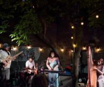 Artist, Thanya Iyer at Musiikki