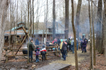 Maple Madness 1