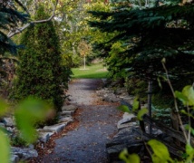 The view of a path through the Barriefield Rock Garden