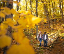 Two people hiking side by side on a forest hiking trail, filled with yellow autumn leaves.