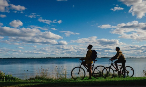 Cycle The Shores